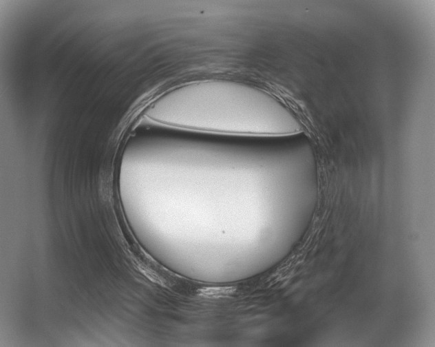X0000062900051200601131054
