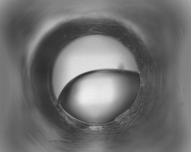 X0000062900052200601131054