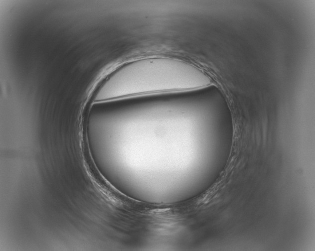 X0000062900054200601131054