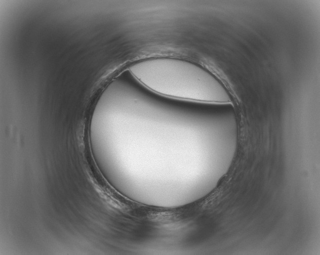 X0000062900058200601131054