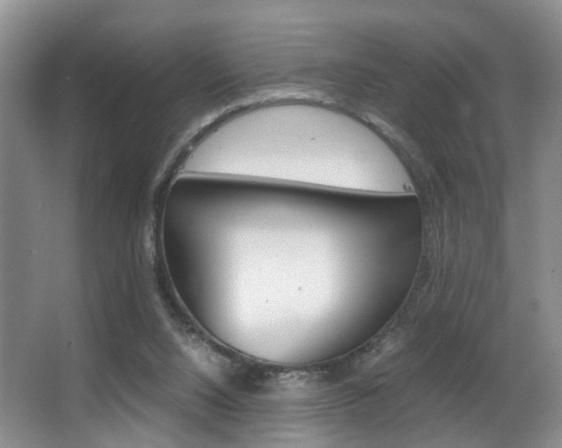 X0000062900064200601131054