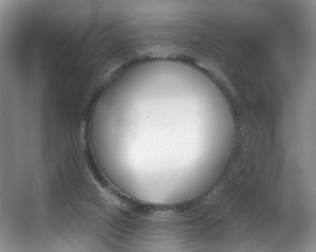 X0000062900066200601131054