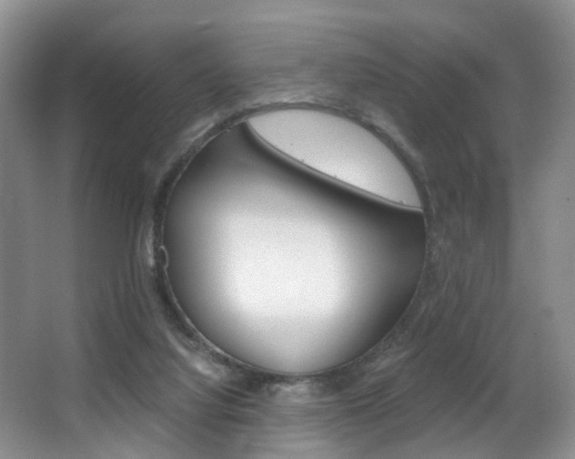X0000062900068200601131055