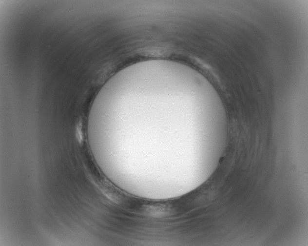 X0000062900069200601131055