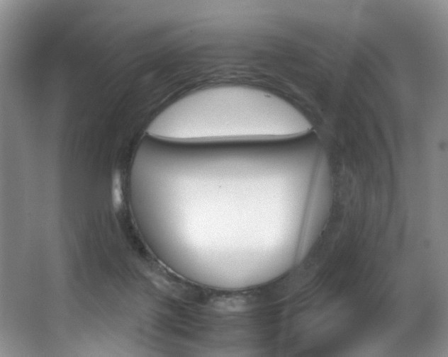 X0000062900075200601131055