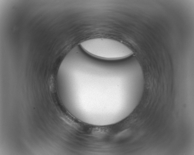X0000062900077200601131055