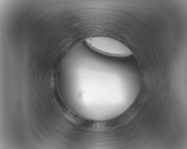X0000062900080200601131055