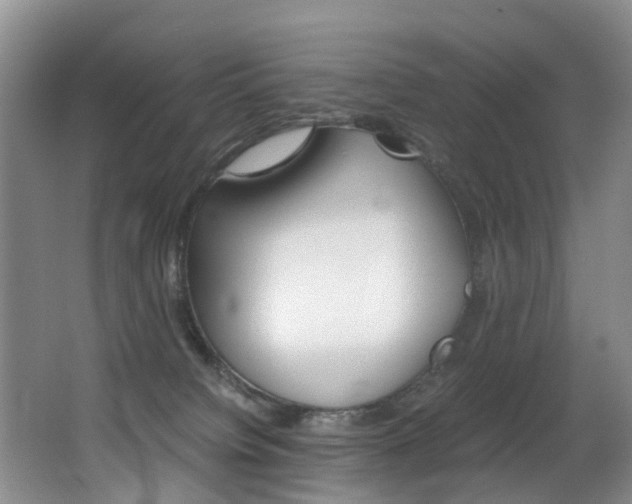 X0000062900084200601131055