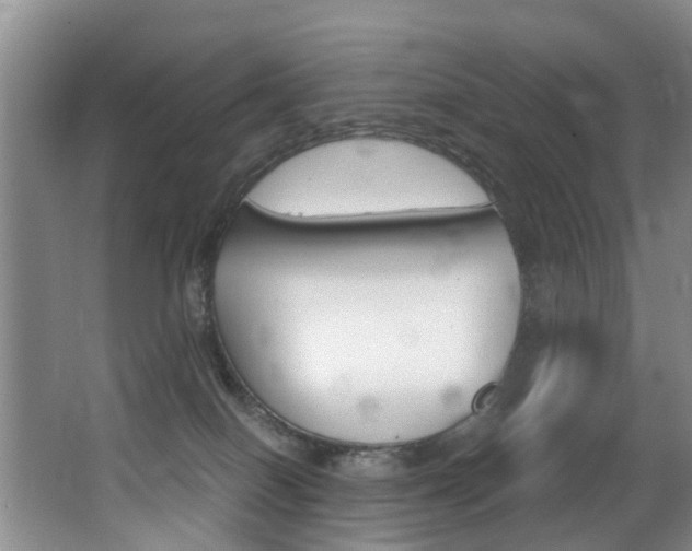 X0000062900086200601131055