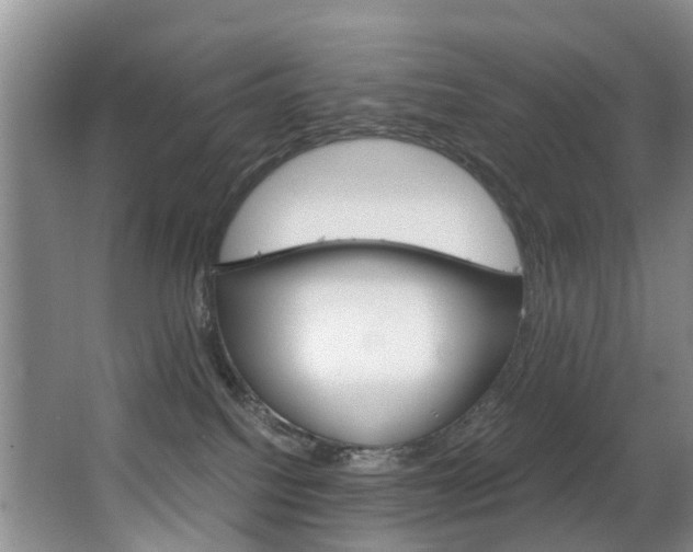 X0000062900088200601131055