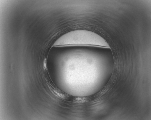 X0000062900095200601131055