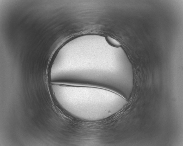 X0000062900100200601131054