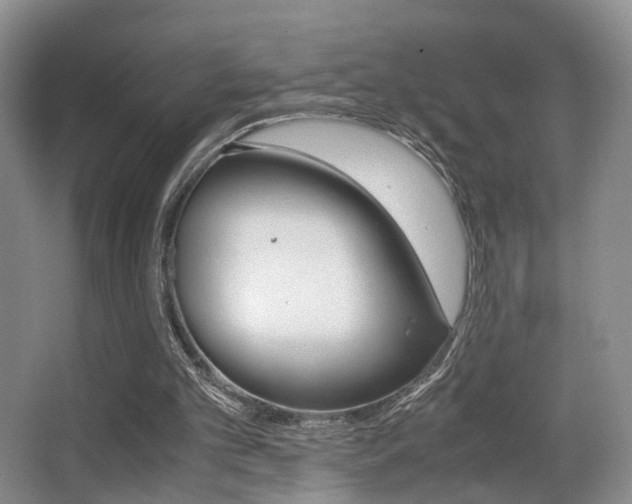 X0000062900101200601131054