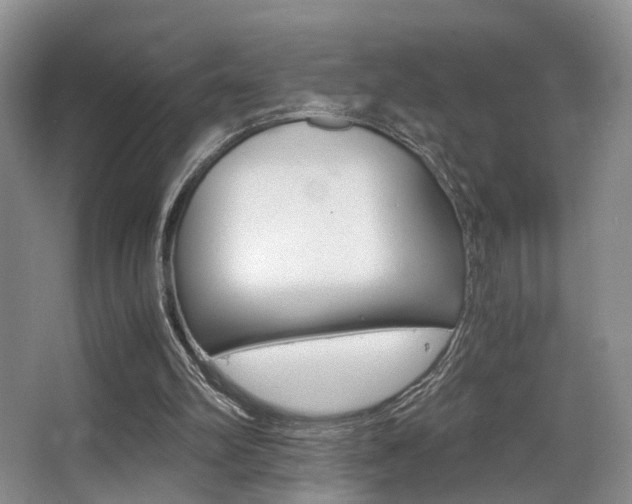 X0000062900102200601131054