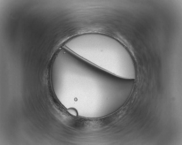 X0000062900107200601131054