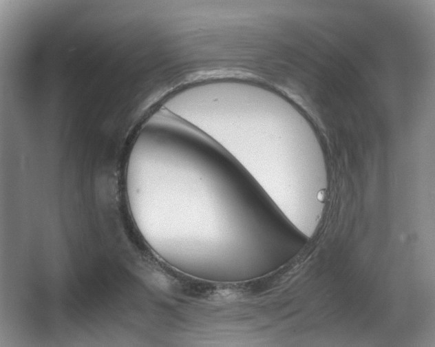 X0000062900111200601131054