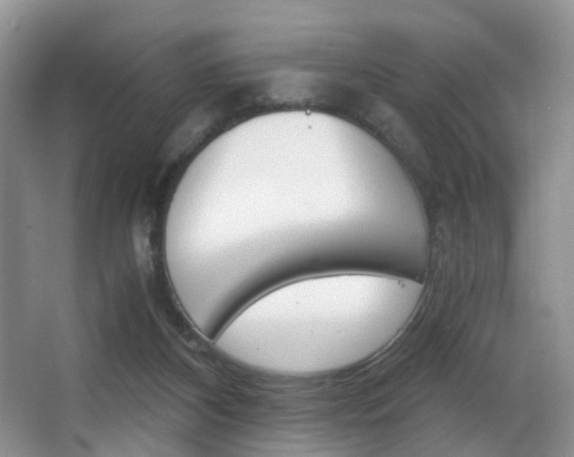 X0000062900116200601131054