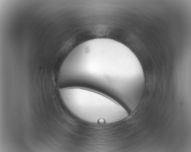 X0000062900128200601131054