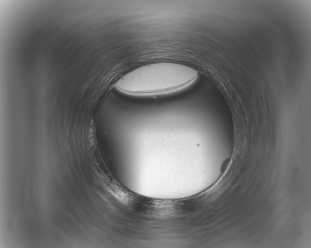 X0000062900144200601131053