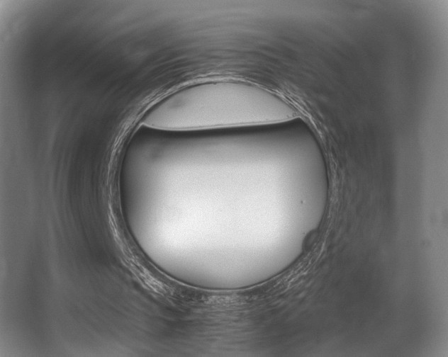 X0000062900145200601131053