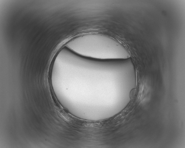 X0000062900147200601131053