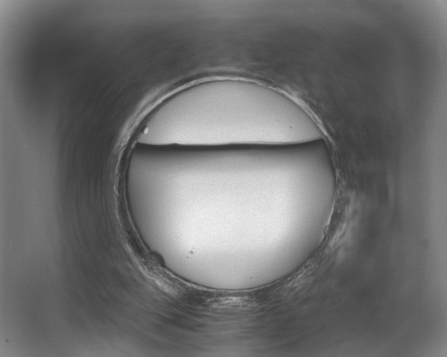X0000062900151200601131053