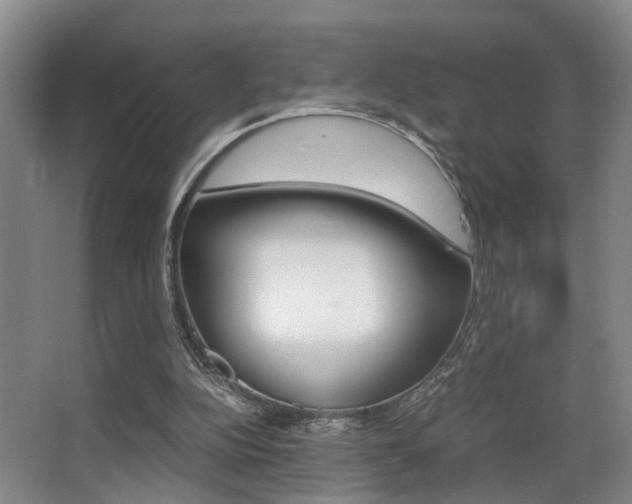 X0000062900152200601131053