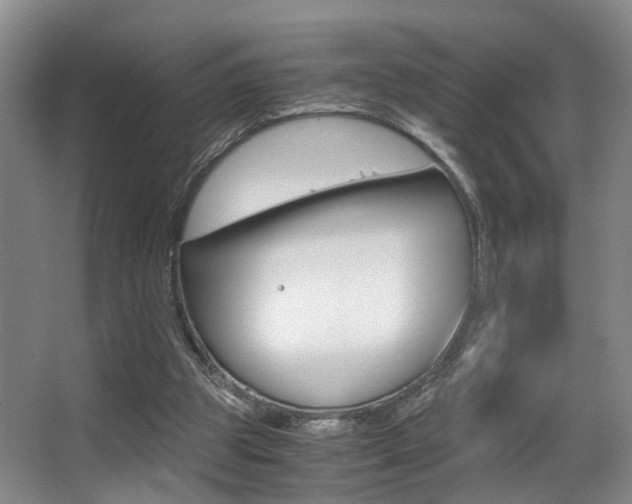 X0000062900153200601131053