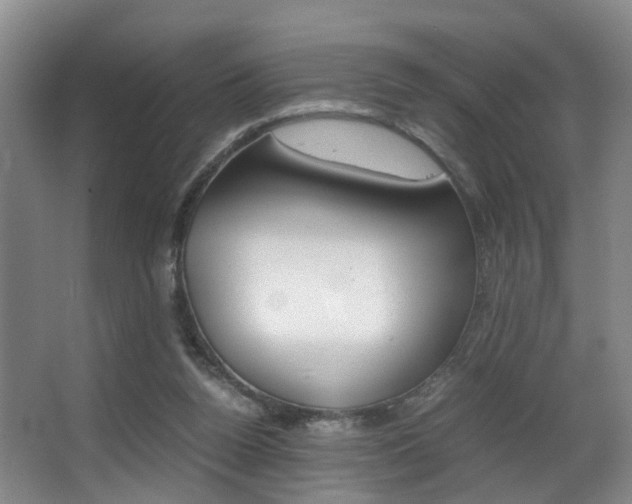 X0000062900160200601131053