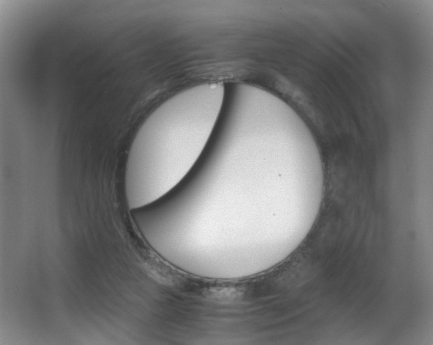 X0000062900161200601131053