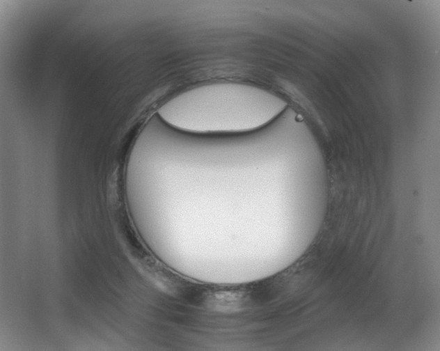 X0000062900163200601131053