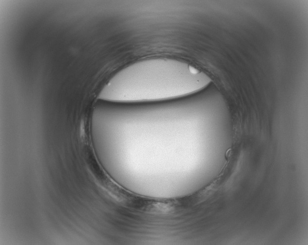 X0000062900166200601131053