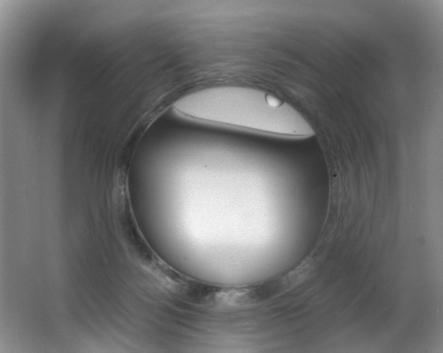X0000062900172200601131053