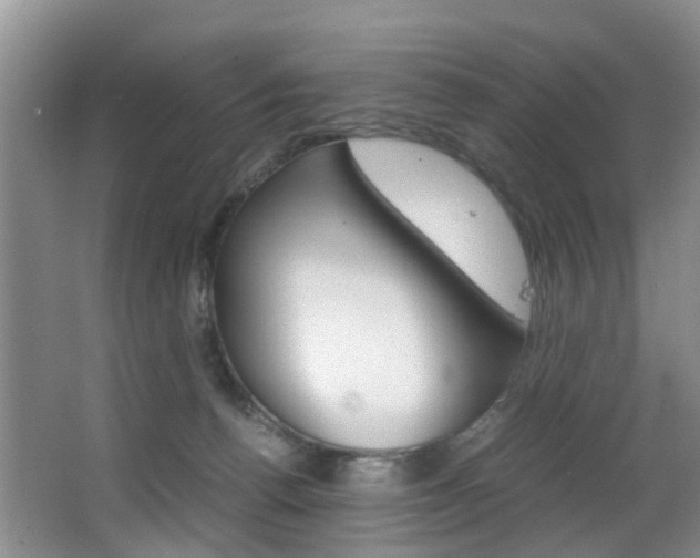 X0000062900176200601131053