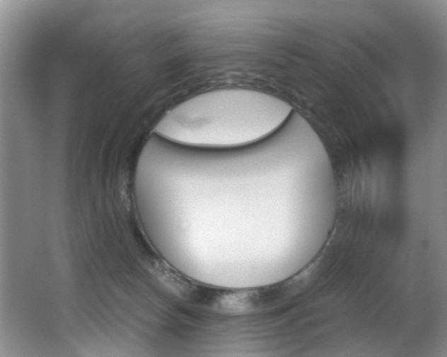 X0000062900178200601131053