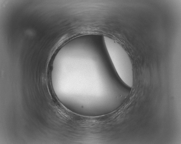 X0000062900195200601131052