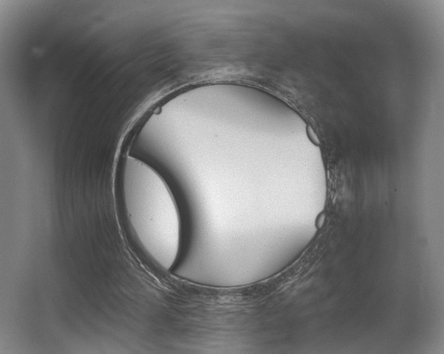 X0000062900196200601131052