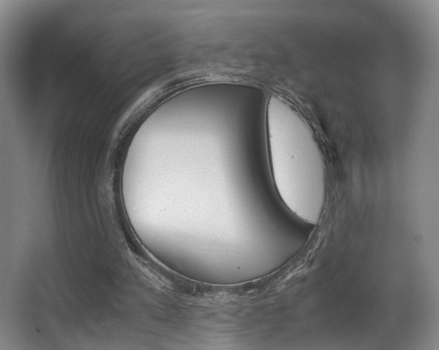X0000062900197200601131052