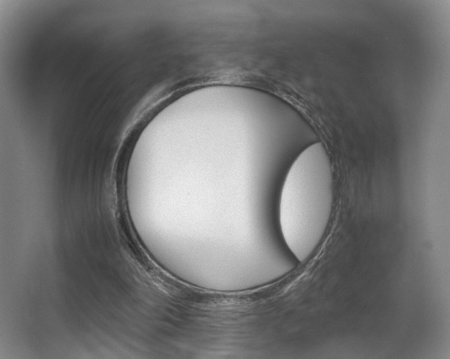 X0000062900198200601131052