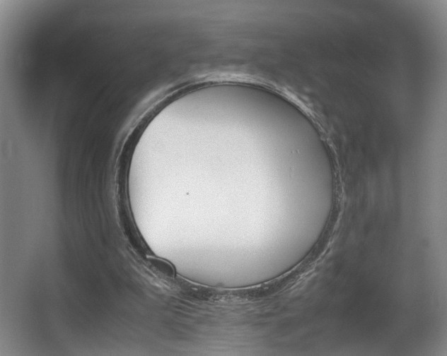 X0000062900199200601131052