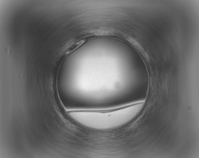 X0000062900201200601131052