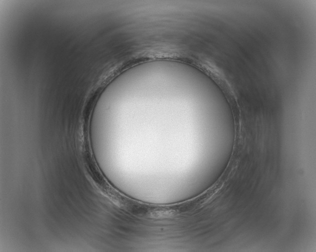 X0000062900202200601131052
