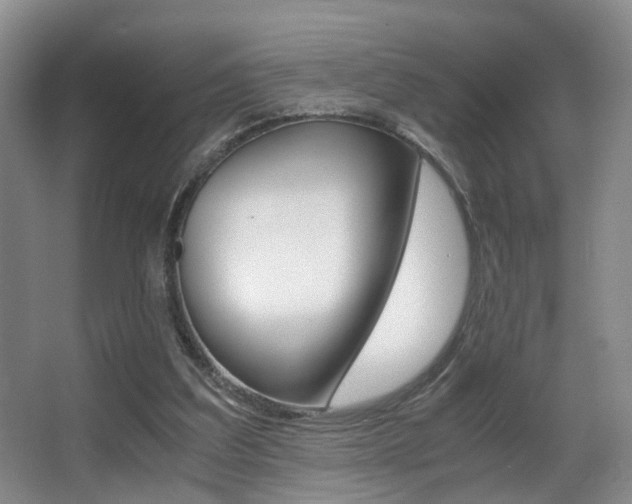 X0000062900203200601131052