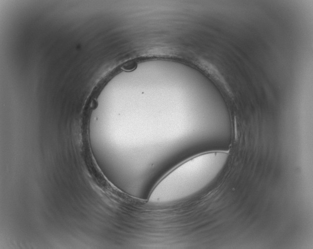 X0000062900204200601131052