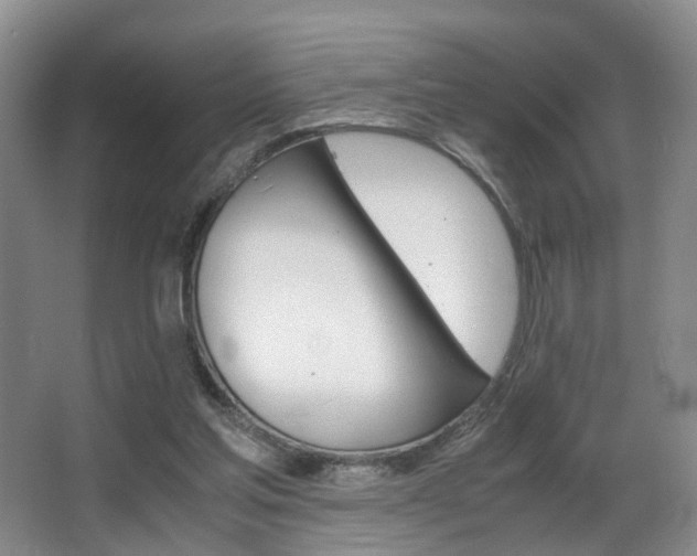 X0000062900205200601131052