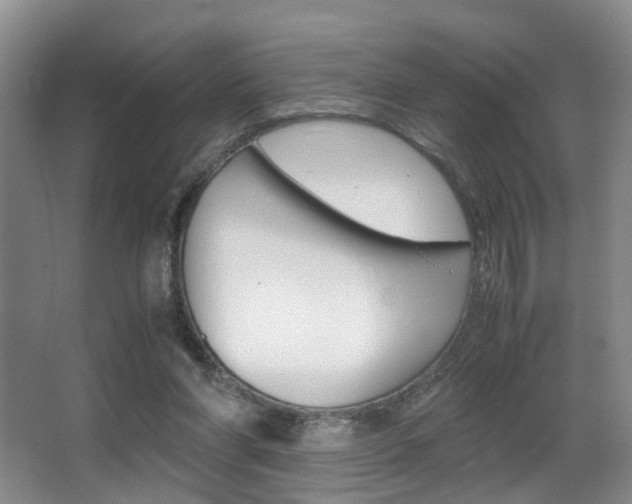 X0000062900206200601131052