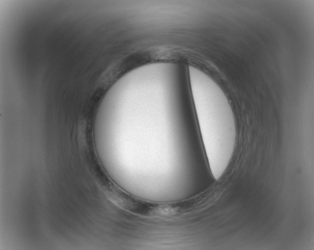 X0000062900217200601131052