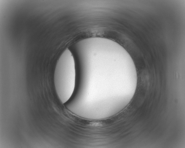 X0000062900218200601131052