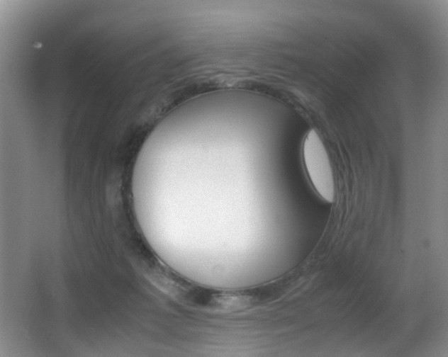 X0000062900221200601131052