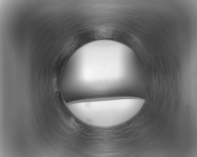 X0000062900224200601131052